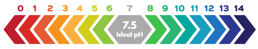 Ideal pH Level